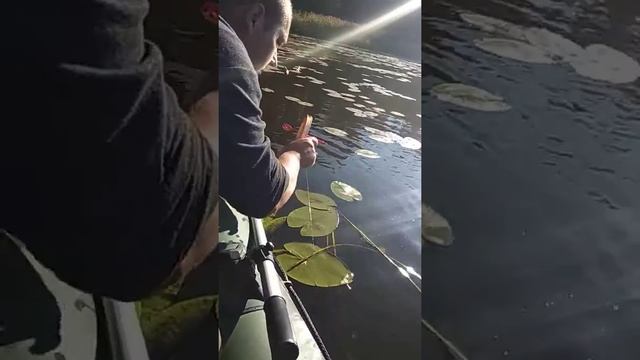 Ловля щуки в Городке смотреть онлайн