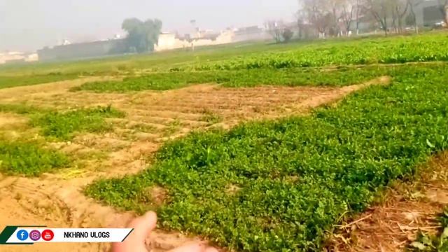 Da seend ghara vlog| bank of river vlog | darya ka kinara vlog | nkhanovlogs |pashto vlog смотреть онлайн
