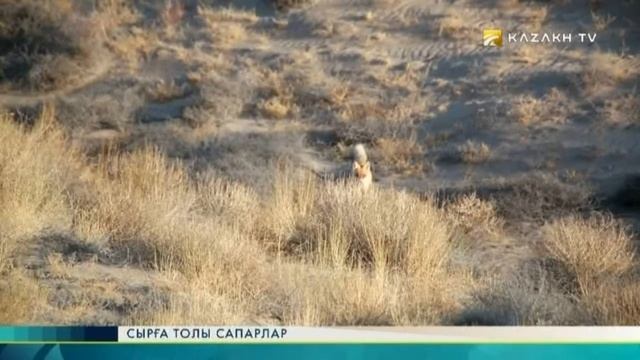Сырға толы сапарлар №6 (05.01.2017) - Kazakh TV смотреть онлайн