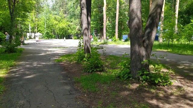 Прогулка по парку 🌼🌼🌼лето жара! #лето смотреть онлайн