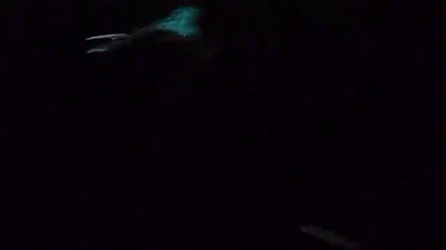 [140404] VCR Intro | SHINee World Concert III In ARGENTINA