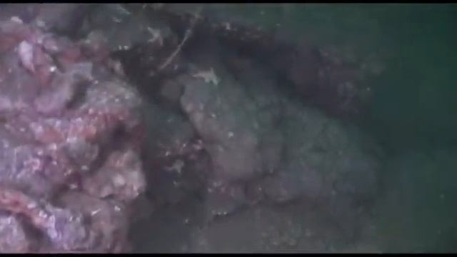 Diving the wreck of the Somali смотреть онлайн