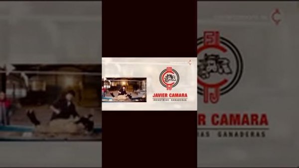 Доильный аппарат для коз | Аппарат для дойки коз