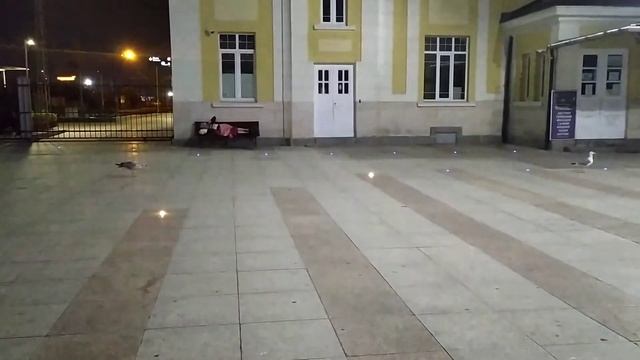 Любов между две чайки 😂 смотреть онлайн