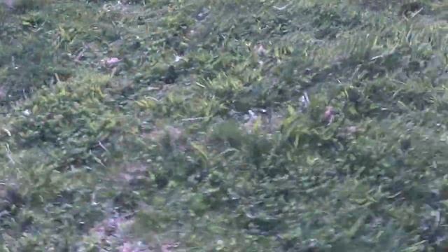 Syma x5 motor stall смотреть онлайн