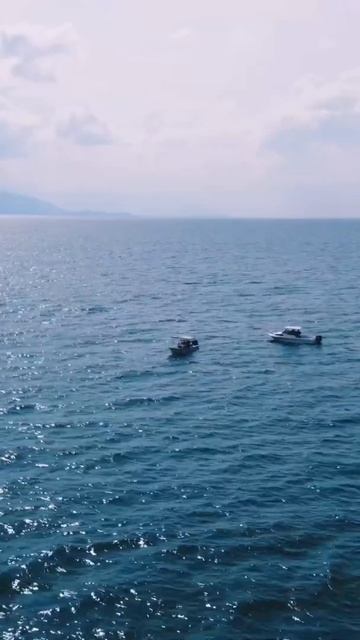 Boating Mercury Group смотреть онлайн