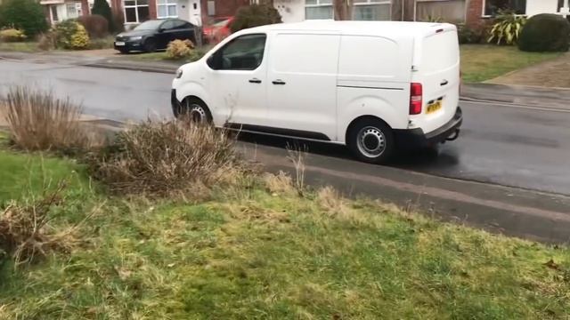 THIS ORDER FILLED THE VAN..... смотреть онлайн