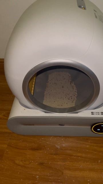 Chinese electronic cat litter box review part 2 : Tonepie #china #animals #catshorts #cuteanimals смотреть онлайн