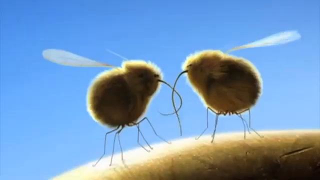 MINUSCULE - compilation 4 смотреть онлайн