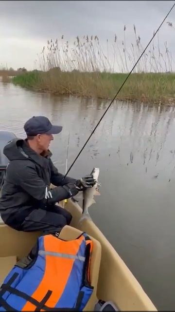 ПОЧЕМУ ОТПУСТИЛ?! КОГО ТО ИСПУГАЛСЯ!? КТО УМЕЕТ - ТОТ И ЛОВИТ! смотреть онлайн