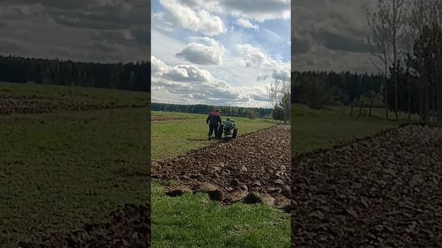 Весенняя вспашка смотреть онлайн