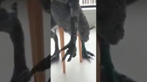 Scorpios Rex from Plasticine/Скорпиос Рекс из Пластилина