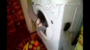 стиралка слопала все фрукты