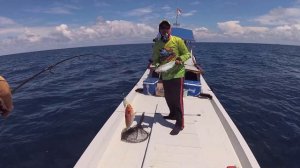 Perjalanan Mancing Eksotis dengan PENN Spinfisher VI 4500 VS Tenggiri