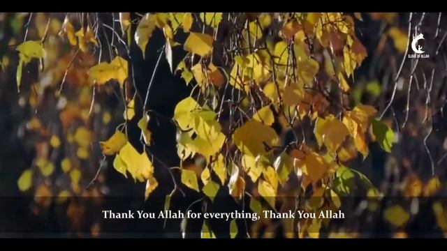 Thank You Allah (feat. Omar Esa) | Labbayk | Remembrance Album смотреть онлайн