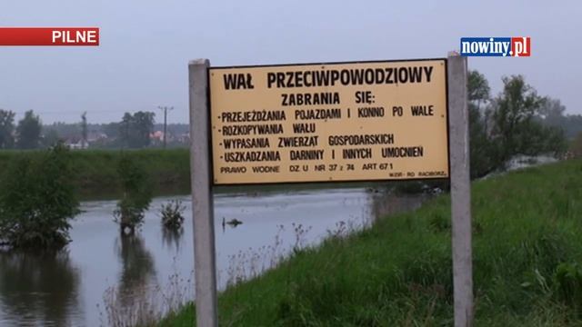 Strażacy ratują Turze смотреть онлайн