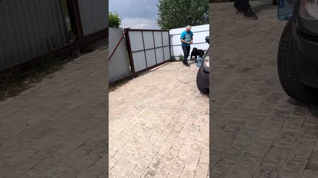 Купили кулер 🥰 смотреть онлайн