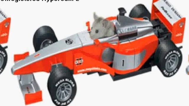 dj hammy hamster jumpstyle смотреть онлайн