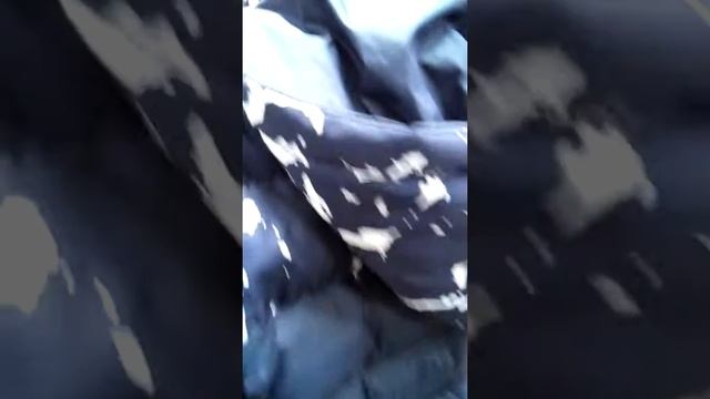 Мани мани смотреть онлайн