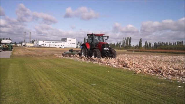 Подрібнення кукурудзи висотою 2,5 метри Land Pride RMC5615 Puma 155 (Shredding corn stubbles 2.5 m) смотреть онлайн