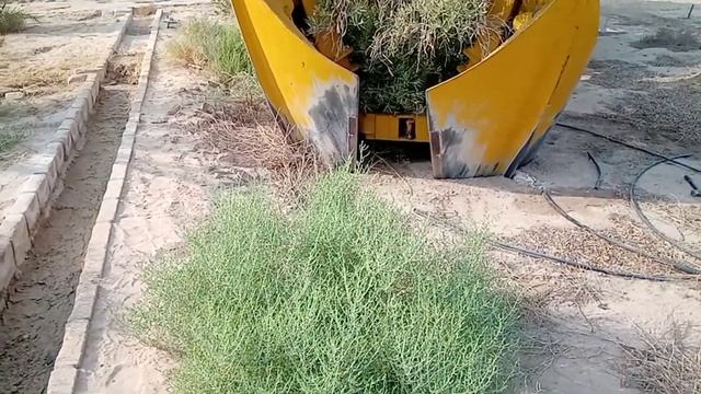 SARAVANANT OPRETOR INSTANT ACCESS KUWAIT 😊🌴🌴🌴 OLIVE TREE CONTACT MUSHA 99462044 BABU 99428259 смотреть онлайн