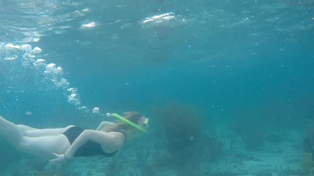 Starfish Cayo Santa Maria CUBA 2017 смотреть онлайн