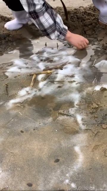 The technology is not enough salt to make up смотреть онлайн