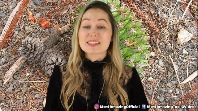 Top 10 Deadliest Trees You Should Never Touch смотреть онлайн