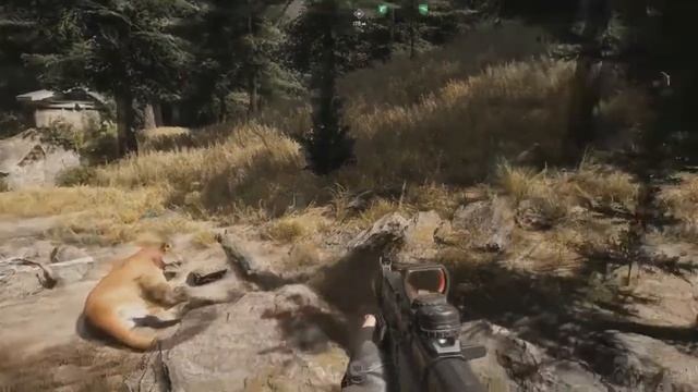 Жуткий звонок Far Cry 5! 2 смотреть онлайн