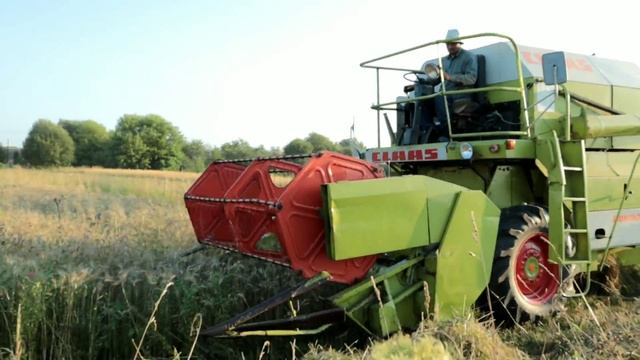 Збираємо хліб!Комбайнери наші на заграничних комбайнах . Комбайн CLAAS DOMINATOR 48 смотреть онлайн