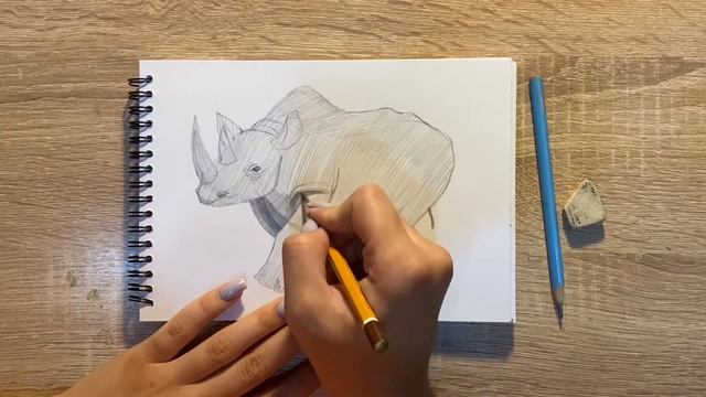 Как нарисовать носорога карандашом | Рисунок для начинающих поэтапно смотреть онлайн