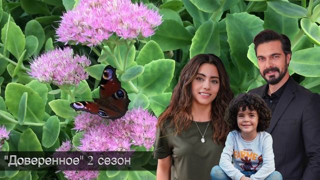 ДОВЕРЕННОЕ 265 серия. Ты оставишь в покое Сехер!