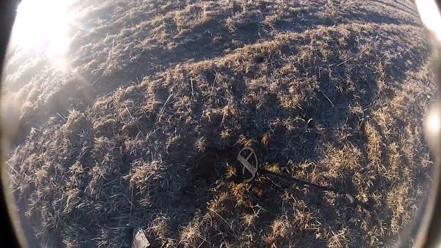 поиск монет в Эстонии