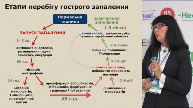 Сімейний лікар та невролог. Де межа компетенцій у супроводі пацієнта з запальними процесами смотреть онлайн