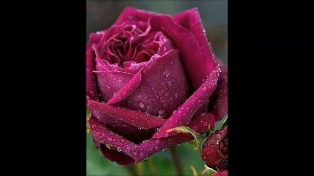 05-16-23. Великое неделание. Ответы на вопросы. смотреть онлайн
