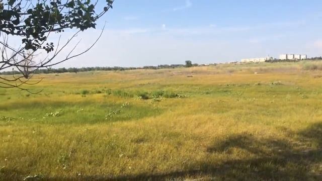 VLOG: МОЯ НОВАЯ ДЕВУШКА | ПЛЯЖ