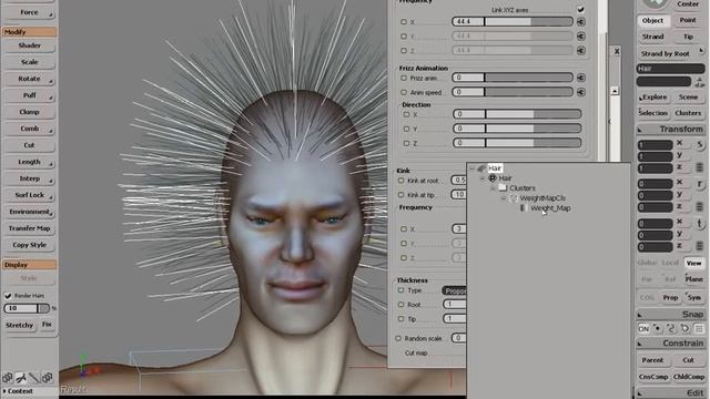 Simulation: Transferring And Using Weight Maps