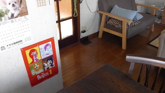 Anker Eufy RoboVac G10  Lving15m2 掃除時間