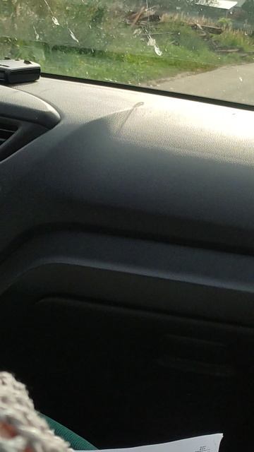 без названия смотреть онлайн