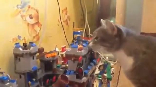 Кошка играет в lego смотреть онлайн