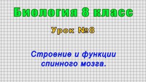 Биология 8 класс (Урок№8 - Строение и функции спинного мозга.)