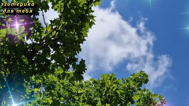 17 мая народный праздник день Пелагеи заступницы, день баклушников. Что нельзя делать. Приметы