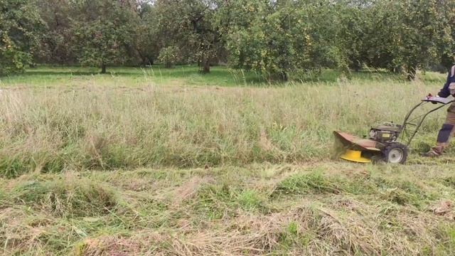 Samojezdna kosiarka rotacyjna, bębnowa. Dla kogo i jak kosi. смотреть онлайн