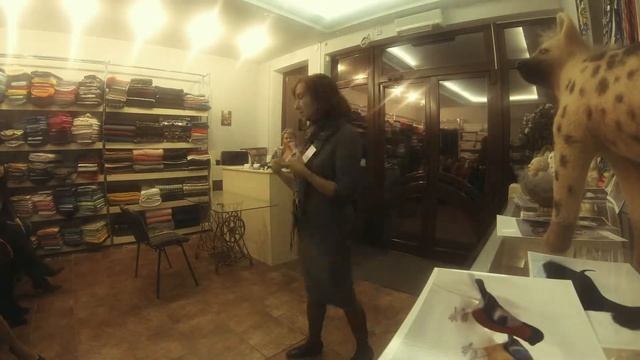 Клуб Модна Киця. Fashion Cat Club смотреть онлайн