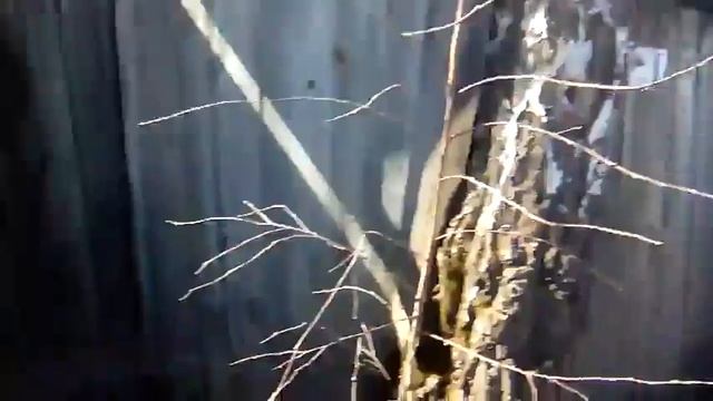 Синька чмо ,но пить не прошу смотреть онлайн