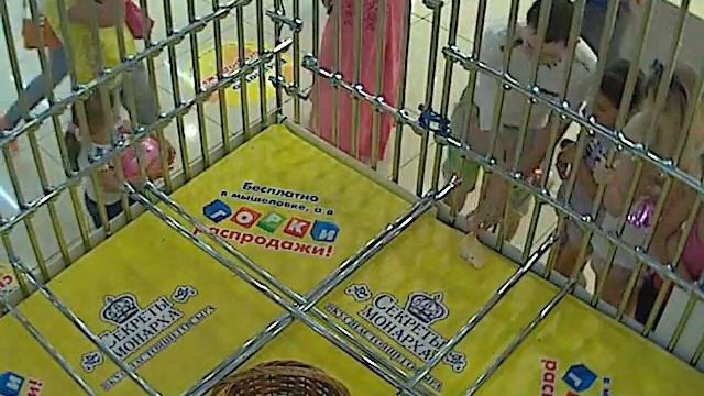 Развернулась борьба за халявный сыр (крупным планом) смотреть онлайн