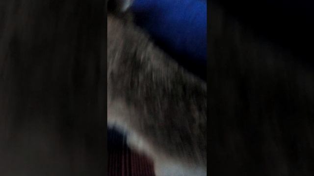 Заяча зарядка смотреть онлайн