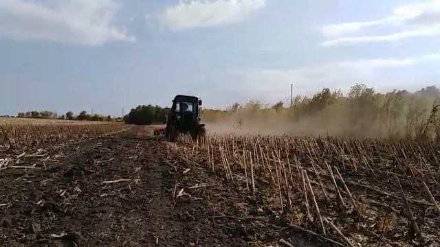 Дискування соняшнику дисковою 3.2 Фаворит (560диск) смотреть онлайн