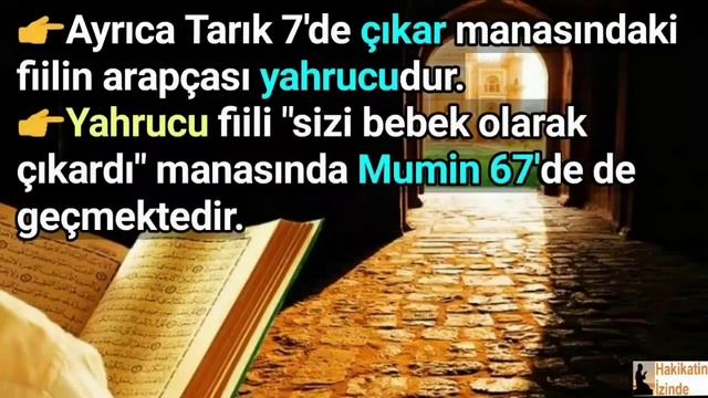 Sperm Kaburga Kemiklerinde Mi Oluşur? смотреть онлайн