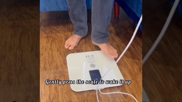 Lescale P1 Professional 8 Electrodes - Provides The Most Complete Assessments Ever Offered.